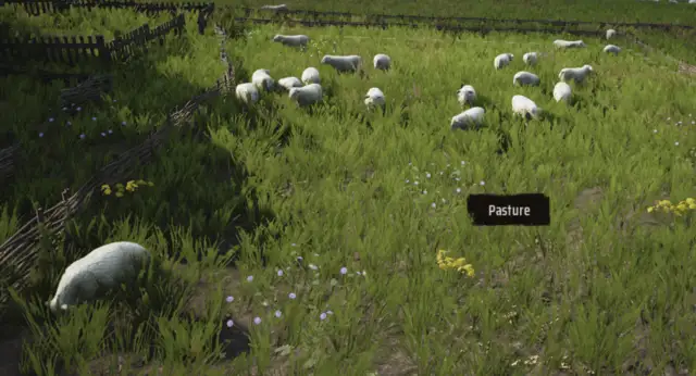 Pasture in Manor Lords